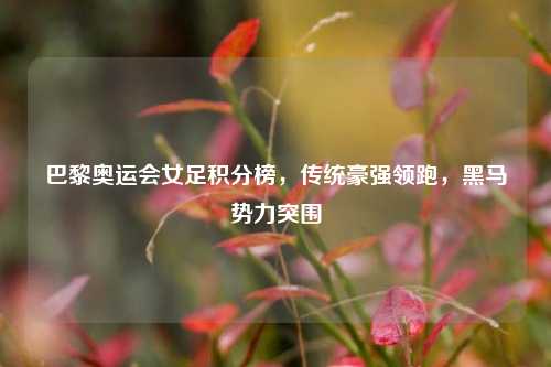 巴黎奥运会女足积分榜,传统豪强领跑,黑马势力突围