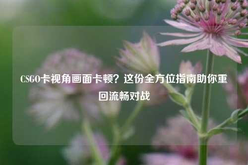CSGO卡视角画面卡顿？这份全方位指南助你重回流畅对战