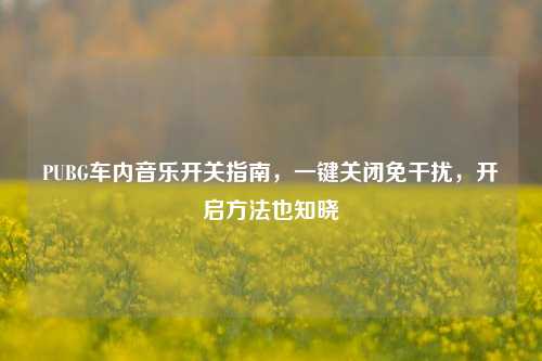 PUBG车内音乐开关指南,一键关闭免干扰,开启 *** 也知晓