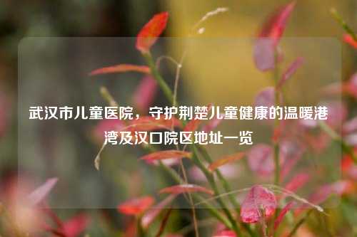 武汉市儿童医院,守护荆楚儿童健康的温暖港湾及汉口院区地址一览
