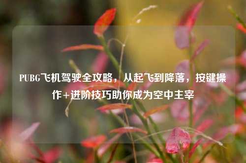 PUBG飞机驾驶全攻略，从起飞到降落，按键操作+进阶技巧助你成为空中主宰