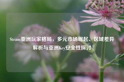 Steam亚洲玩家格局,多元市场崛起、区域差异解析与亚洲Key安全性探讨