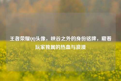 王者荣耀 *** 头像,峡谷之外的身份铭牌,藏着玩家独属的热血与浪漫