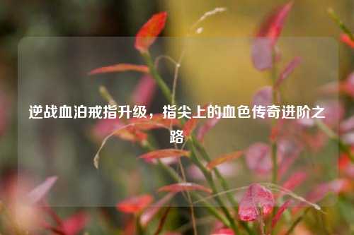 逆战血泊戒指升级,指尖上的血色传奇进阶之路