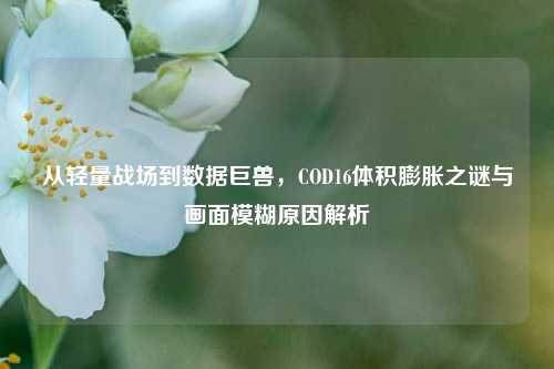从轻量战场到数据巨兽,COD16体积膨胀之谜与画面模糊原因解析