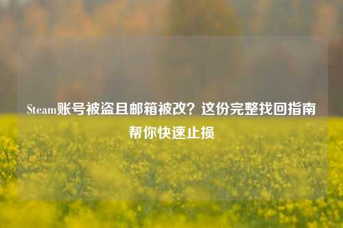 Steam账号被盗且邮箱被改?这份完整找回指南帮你快速止损