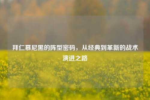 拜仁慕尼黑的阵型密码,从经典到革新的战术演进之路