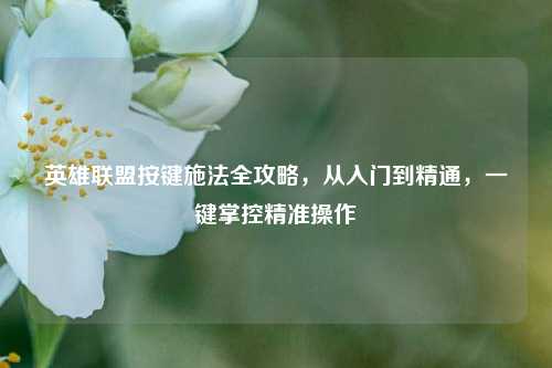 英雄联盟按键施法全攻略,从入门到精通,一键掌控精准操作