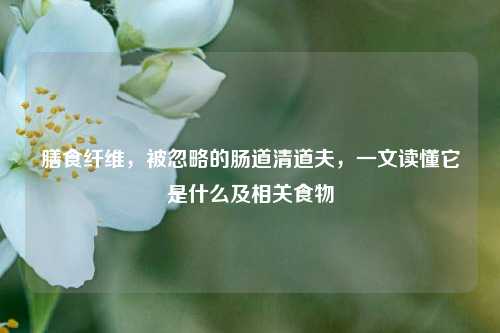 膳食纤维，被忽略的肠道清道夫，一文读懂它是什么及相关食物