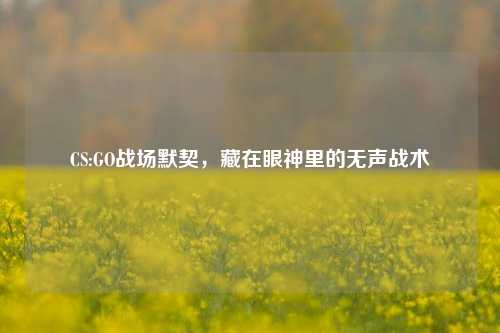 CS:GO战场默契，藏在眼神里的无声战术