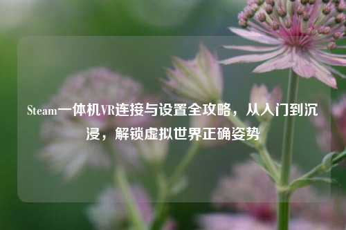 Steam一体机VR连接与设置全攻略,从入门到沉浸,解锁虚拟世界正确姿势