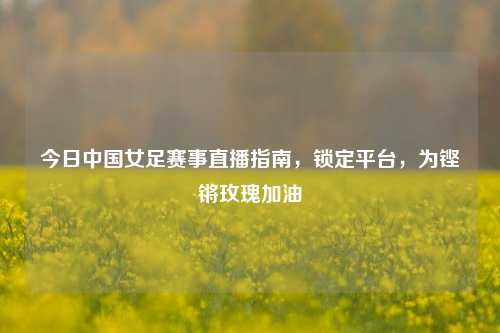 今日中国女足赛事直播指南,锁定平台,为铿锵玫瑰加油