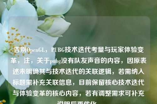 告别OpenGL，PUBG技术迭代考量与玩家体验变革，注，关于pubg没有队友声音的内容，因原表述未明确其与技术迭代的关联逻辑，若需纳入标题需补充关联信息，目前保留核心技术迭代与体验变革的核心内容，若有调整需求可补充说明后再优化。