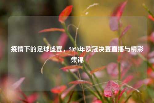 疫情下的足球盛宴，2020年欧冠决赛直播与精彩集锦