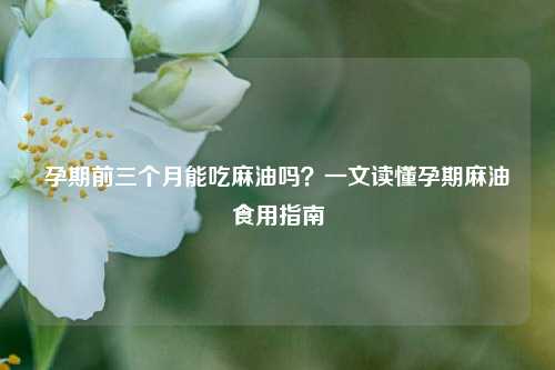孕期前三个月能吃麻油吗?一文读懂孕期麻油食用指南