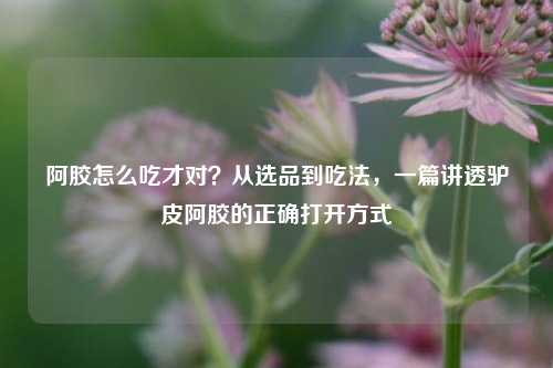 阿胶怎么吃才对？从选品到吃法，一篇讲透驴皮阿胶的正确打开方式