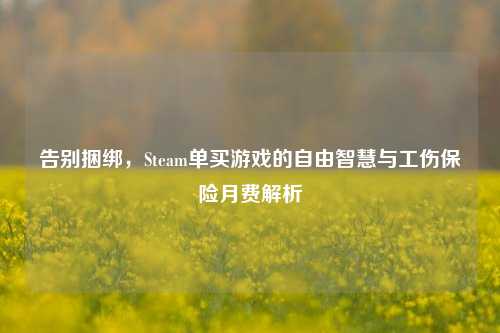 告别捆绑,Steam单买游戏的自由智慧与工伤保险月费解析