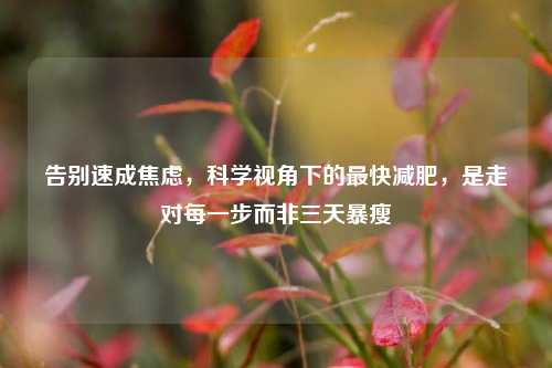 告别速成焦虑,科学视角下的最快减肥,是走对每一步而非三天暴瘦
