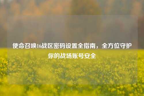 使命召唤16战区密码设置全指南,全方位守护你的战场账号安全