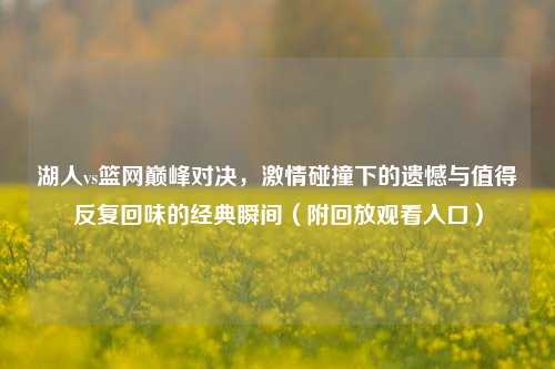 湖人vs篮网巅峰对决, *** 碰撞下的遗憾与值得反复回味的经典瞬间(附回放观看入口)