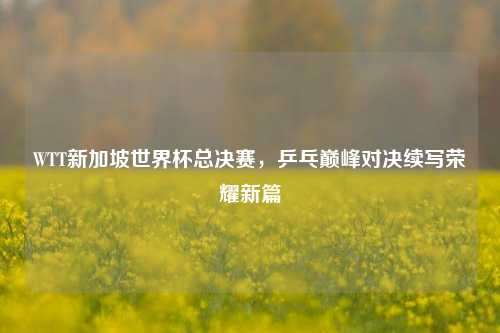 WTT新加坡世界杯总决赛,乒乓巅峰对决续写荣耀新篇