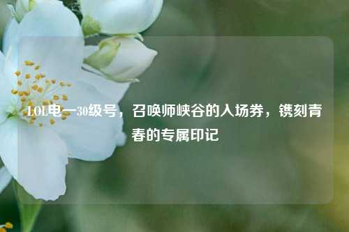LOL电一30级号，召唤师峡谷的入场券，镌刻青春的专属印记