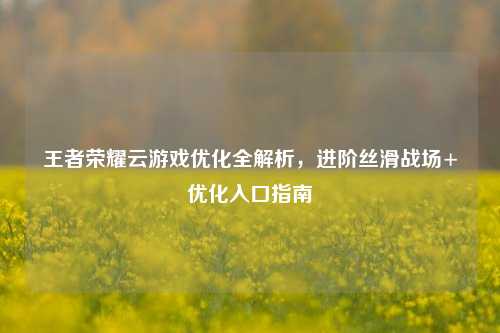 王者荣耀云游戏优化全解析,进阶丝滑战场+优化入口指南