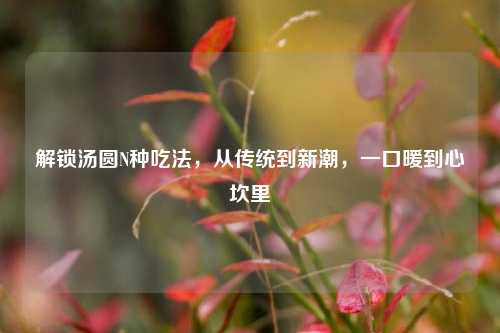 解锁汤圆N种吃法,从传统到新潮,一口暖到心坎里