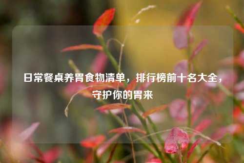 日常餐桌养胃食物清单,排行榜前十名大全,守护你的胃来