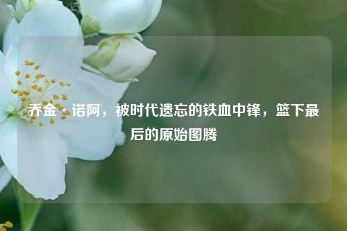 乔金·诺阿,被时代遗忘的铁血中锋,篮下最后的原始图腾
