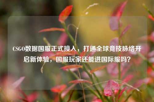 CSGO数据国服正式接入,打通全球竞技脉络开启新体验,国服玩家还能进国际服吗?