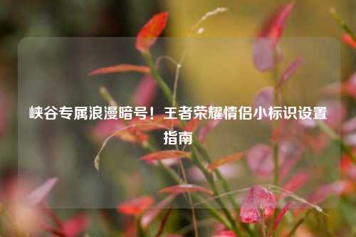 峡谷专属浪漫暗号!王者荣耀情侣小标识设置指南