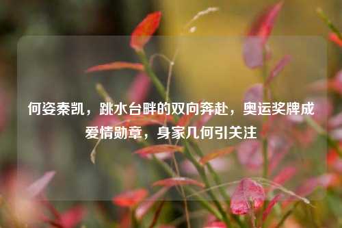 何姿秦凯,跳水台畔的双向奔赴,奥运奖牌成爱情勋章,身家几何引关注