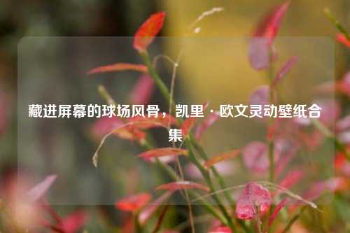 藏进屏幕的球场风骨,凯里·欧文灵动壁纸合集