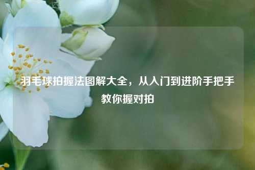 羽毛球拍握法图解大全,从入门到进阶手把手教你握对拍
