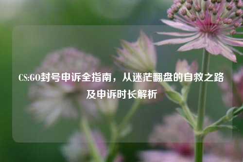 CS:GO封号申诉全指南,从迷茫翻盘的自救之路及申诉时长解析