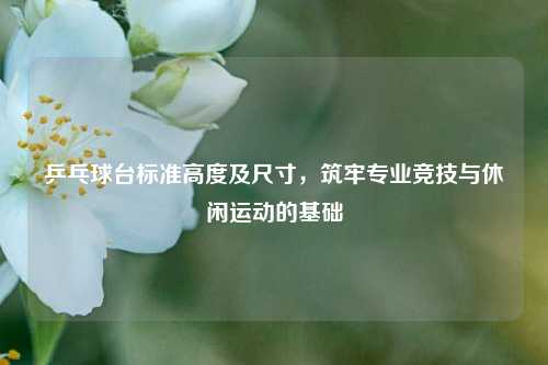 乒乓球台标准高度及尺寸,筑牢专业竞技与休闲运动的基础
