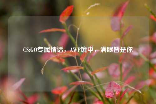 CS:GO专属情话,AWP镜中,满眼皆是你