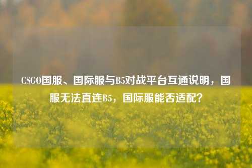 CSGO国服、国际服与B5对战平台互通说明,国服无法直连B5,国际服能否适配?