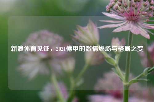 新浪体育见证,2021德甲的 *** 燃场与格局之变