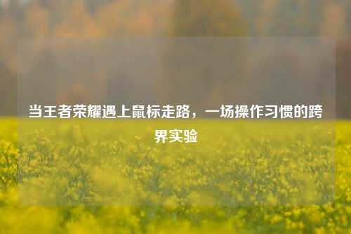 当王者荣耀遇上鼠标走路,一场操作习惯的跨界实验