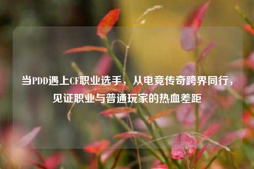 当PDD遇上CF职业选手,从电竞传奇跨界同行,见证职业与普通玩家的热血差距