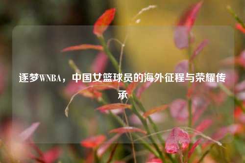 逐梦WNBA,中国女篮球员的海外征程与荣耀传承
