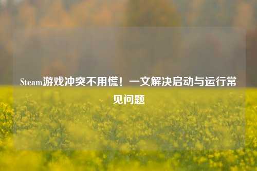 Steam游戏冲突不用慌！一文解决启动与运行常见问题