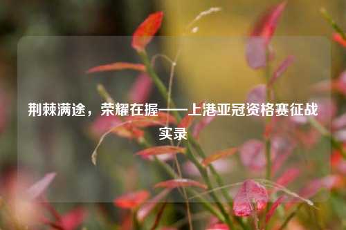 荆棘满途，荣耀在握——上港亚冠资格赛征战实录