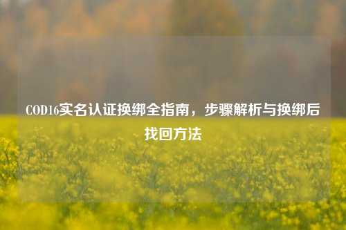 COD16实名认证换绑全指南，步骤解析与换绑后找回 *** 