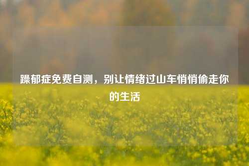 躁郁症免费自测，别让情绪过山车悄悄偷走你的生活