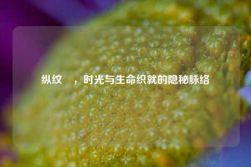 纵纹鱲，时光与生命织就的隐秘脉络