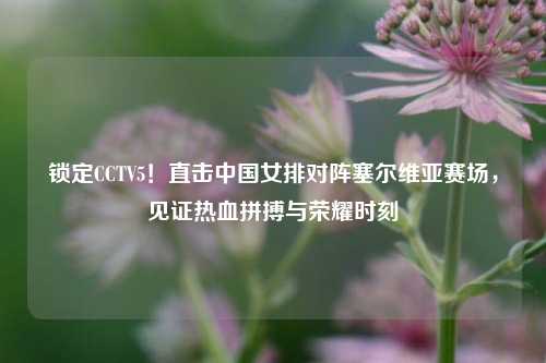 锁定CCTV5!直击中国女排对阵塞尔维亚赛场,见证热血拼搏与荣耀时刻