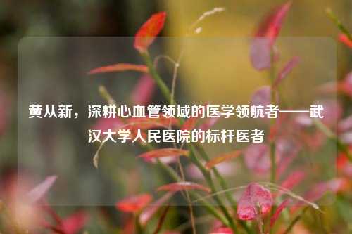 黄从新，深耕心血管领域的医学领航者——武汉大学人民医院的标杆医者
